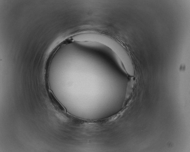 X0000091880150200710031748