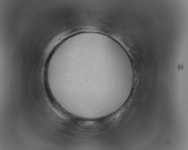 X0000091880151200710031748