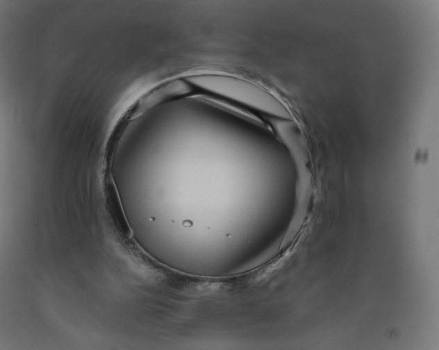 X0000091880152200710031748