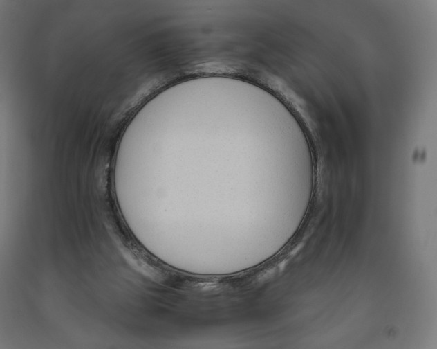 X0000091880153200710031748