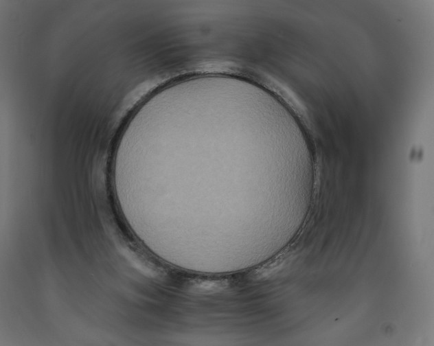 X0000091880155200710031748