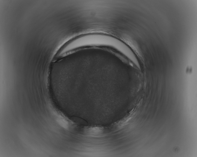 X0000091880156200710031748