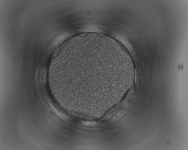 X0000091880157200710031749