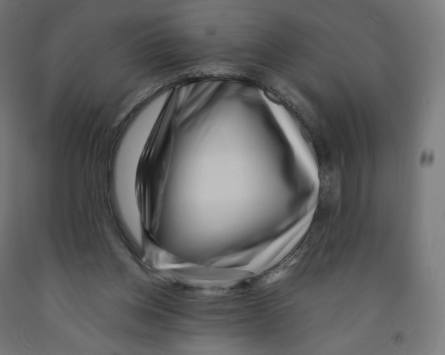 X0000091880158200710031749