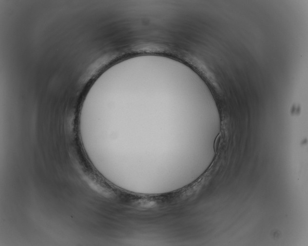 X0000091880159200710031749