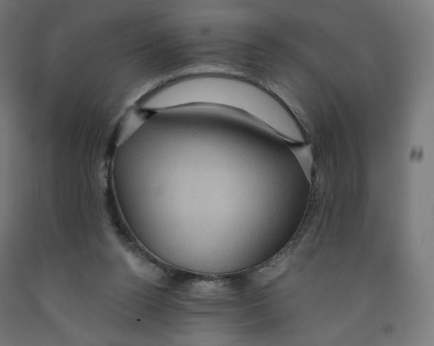 X0000091880160200710031749