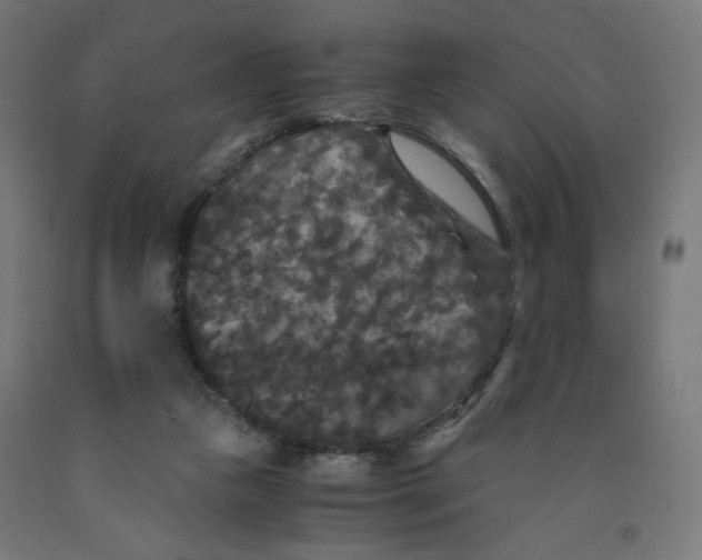 X0000091880161200710031749