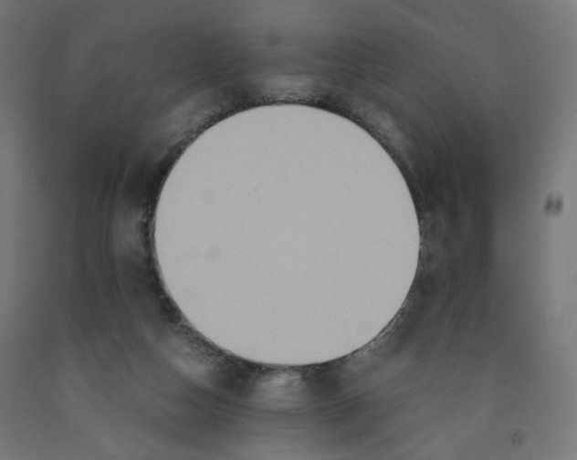 X0000091880162200710031749