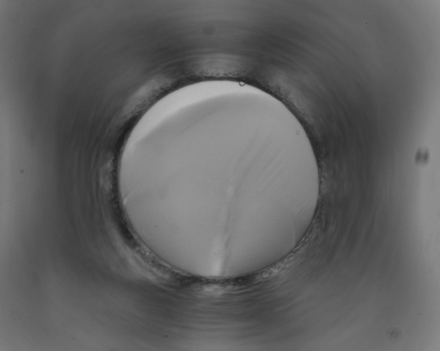 X0000091880163200710031749