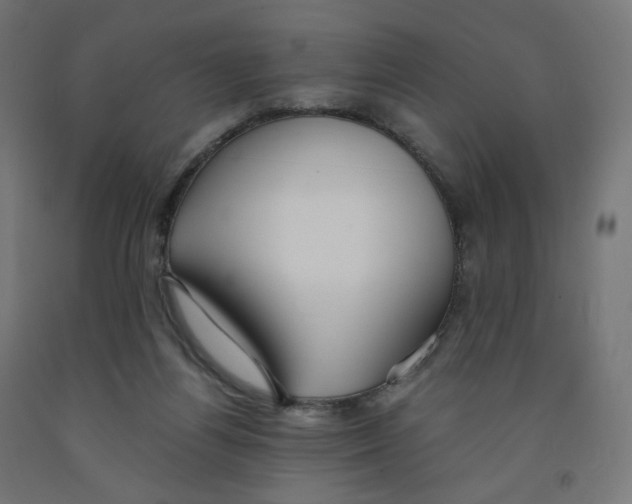 X0000091880164200710031749