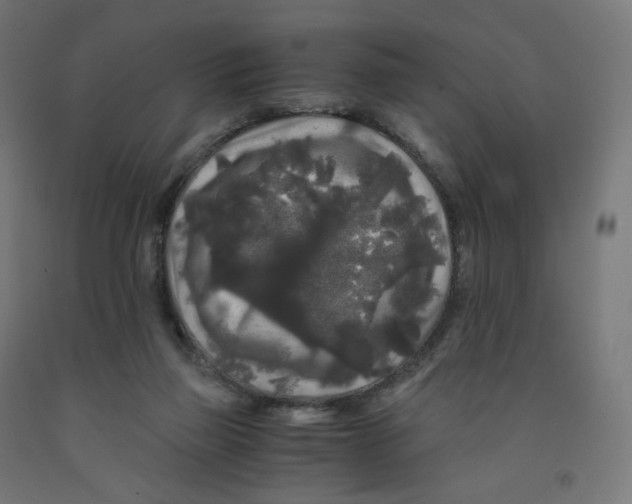 X0000091880165200710031749