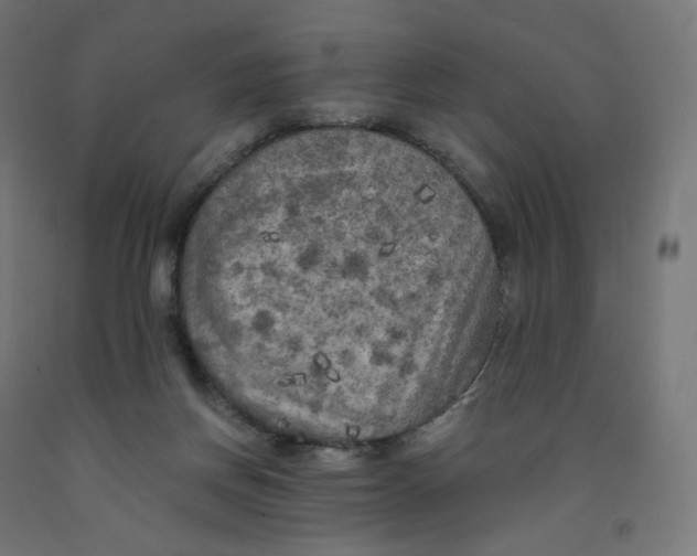 X0000091880166200710031749