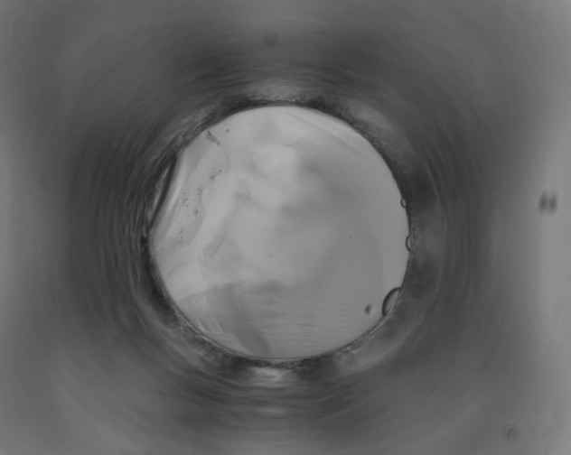 X0000091880167200710031749