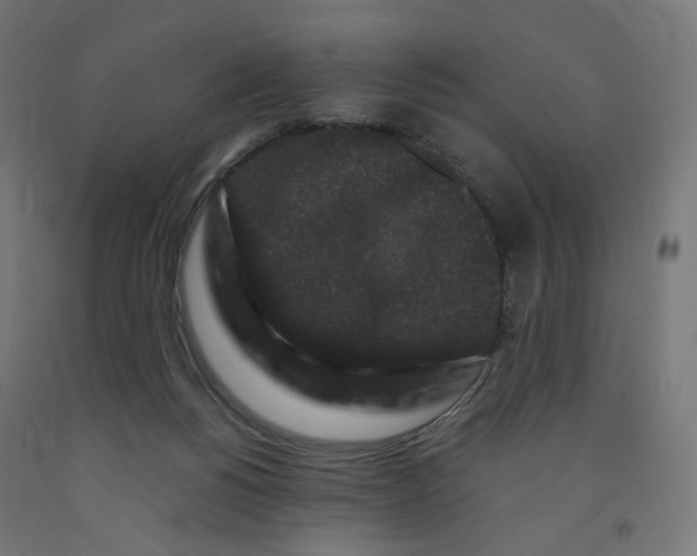 X0000091880168200710031749