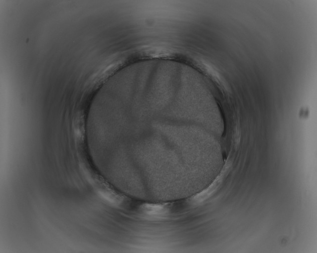 X0000091880170200710031749