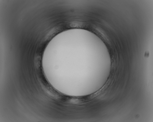 X0000091880171200710031749