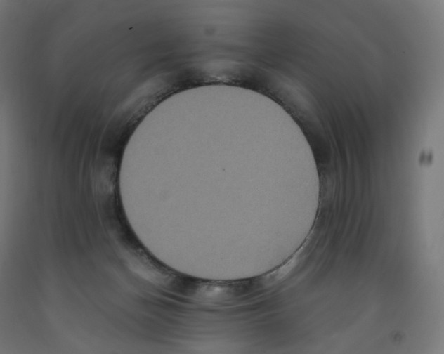 X0000091880174200710031749