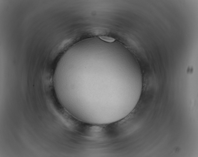 X0000091880176200710031749