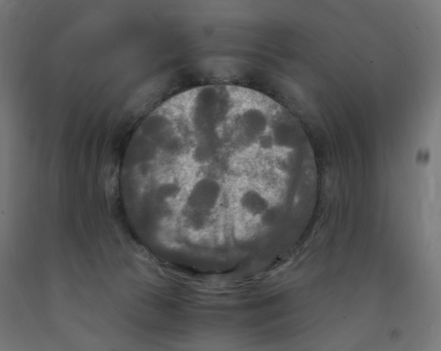 X0000091880177200710031749