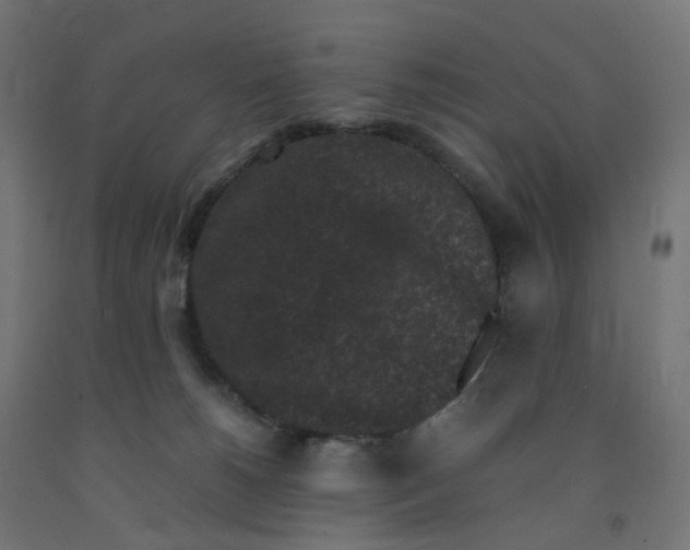 X0000091880180200710031749