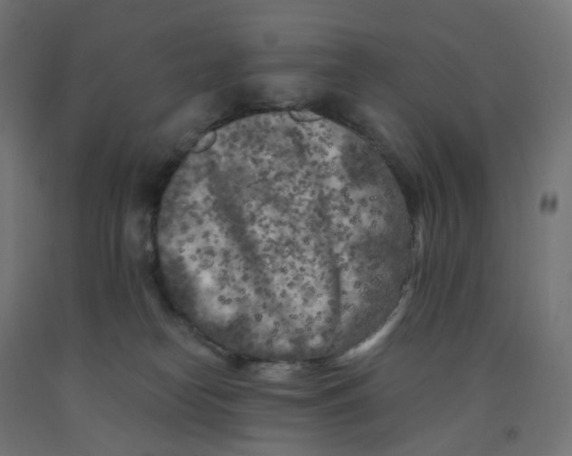 X0000091880182200710031749