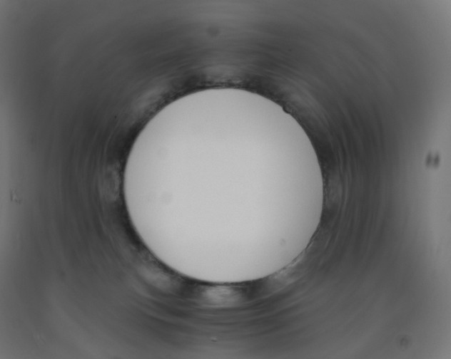 X0000091880183200710031749