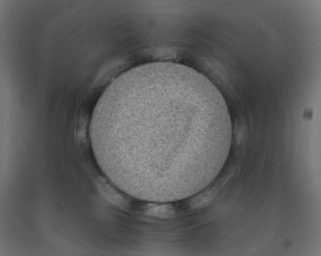 X0000091880185200710031749