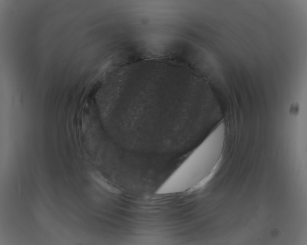 X0000091880186200710031749