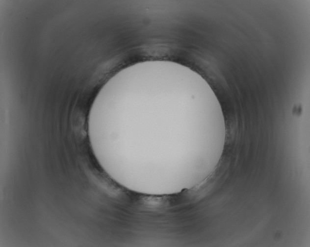 X0000091880187200710031749