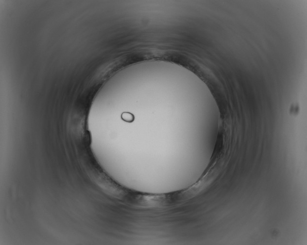 X0000091880188200710031749