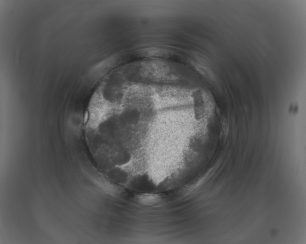 X0000091880189200710031749