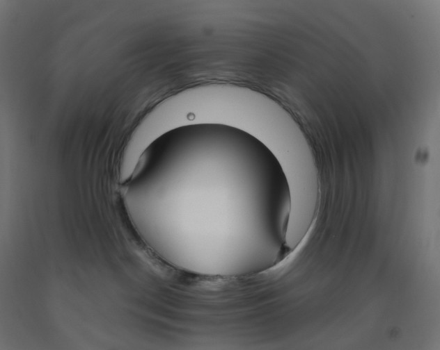 X0000091880190200710031749