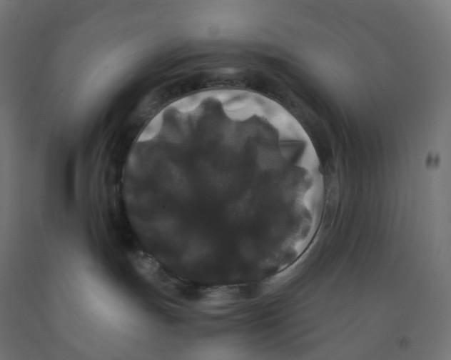 X0000091880191200710031749