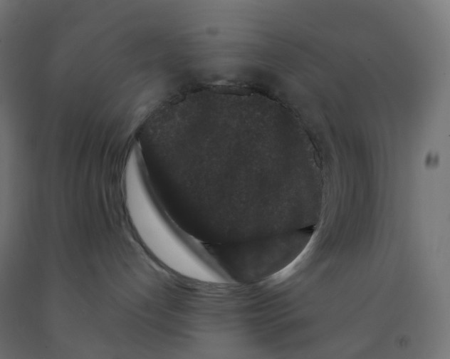 X0000091880192200710031749