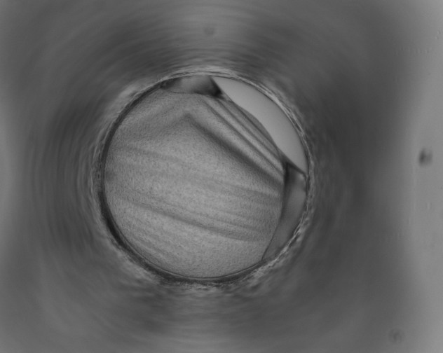 X0000091880193200710031748