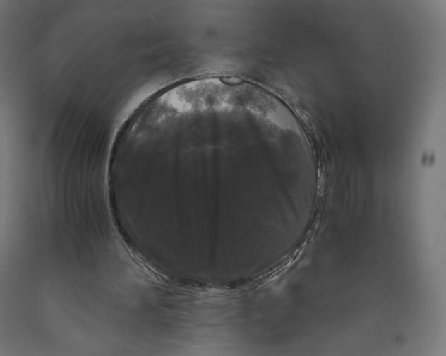 X0000091880196200710031748