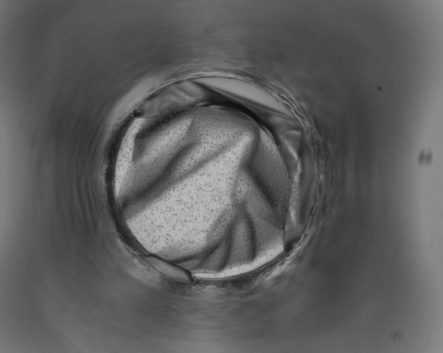 X0000091880197200710031748