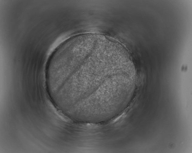 X0000091880198200710031748