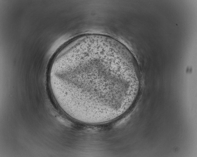 X0000091880199200710031748