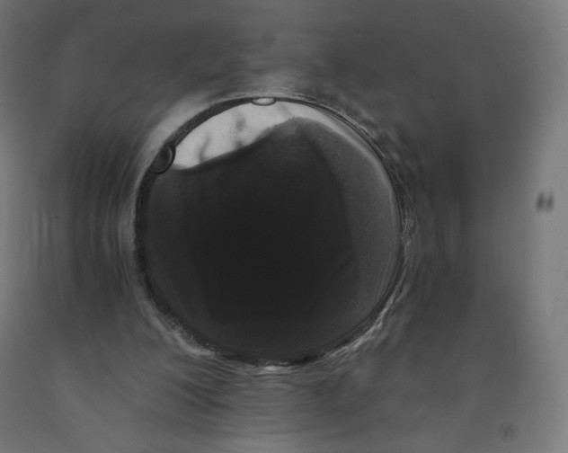 X0000091880200200710031748