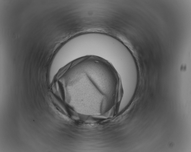 X0000091880201200710031748