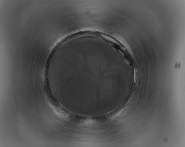 X0000091880204200710031748