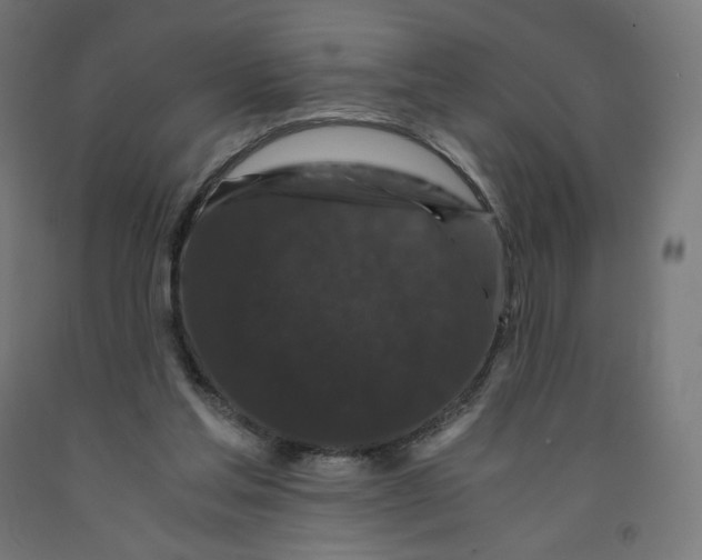 X0000091880205200710031748