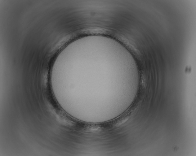 X0000091880206200710031748