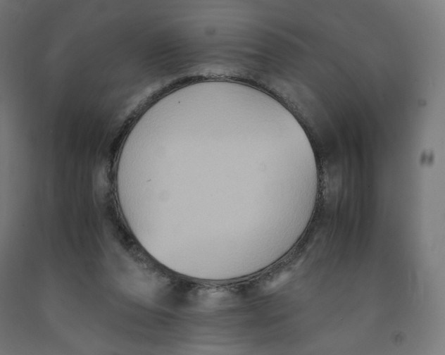 X0000091880208200710031748