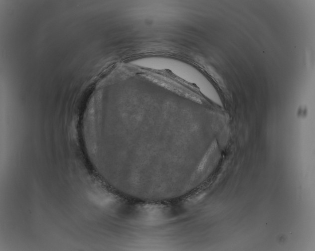 X0000091880209200710031748