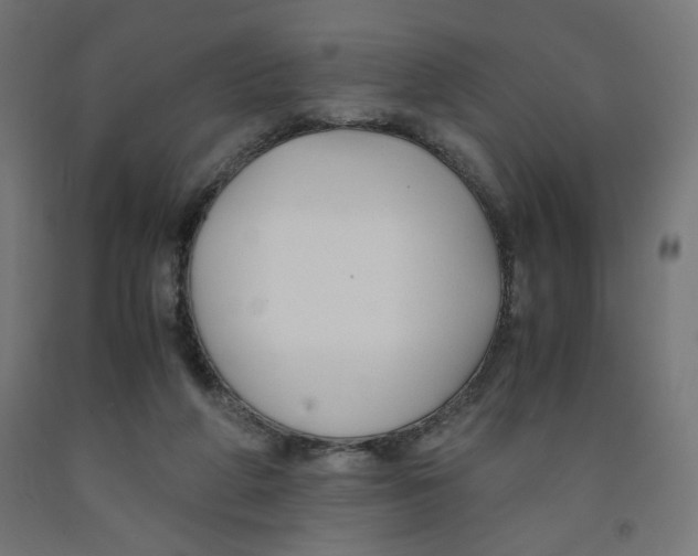 X0000091880210200710031748