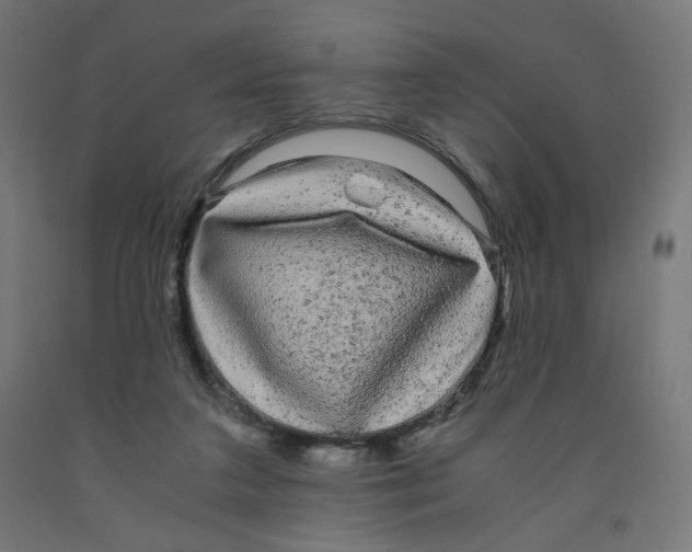 X0000091880211200710031748