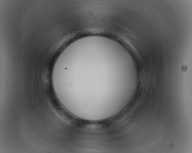 X0000091880212200710031748