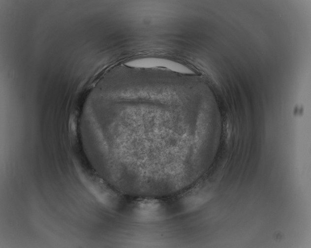 X0000091880214200710031748